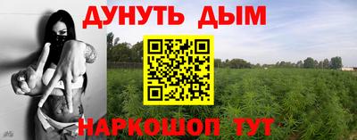 гидра Кандалакша