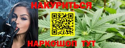 гидра Кандалакша