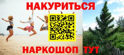 гидра Кандалакша