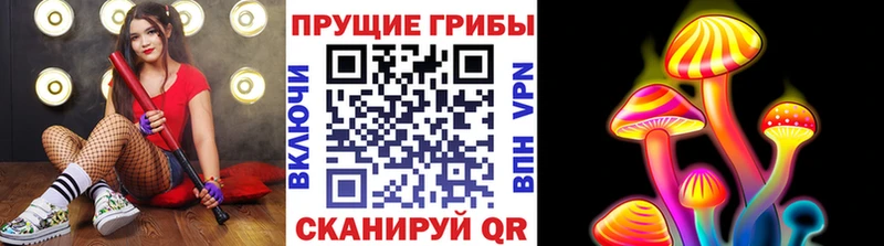 наркотики  Советск  Галлюциногенные грибы Psilocybine cubensis 