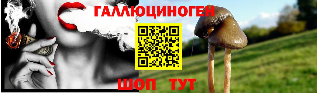 Советск  Галлюциногенные грибы Cubensis  Вход с VPN  Псилоцибиновые грибы мицелий 